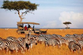 Pravé africké safari