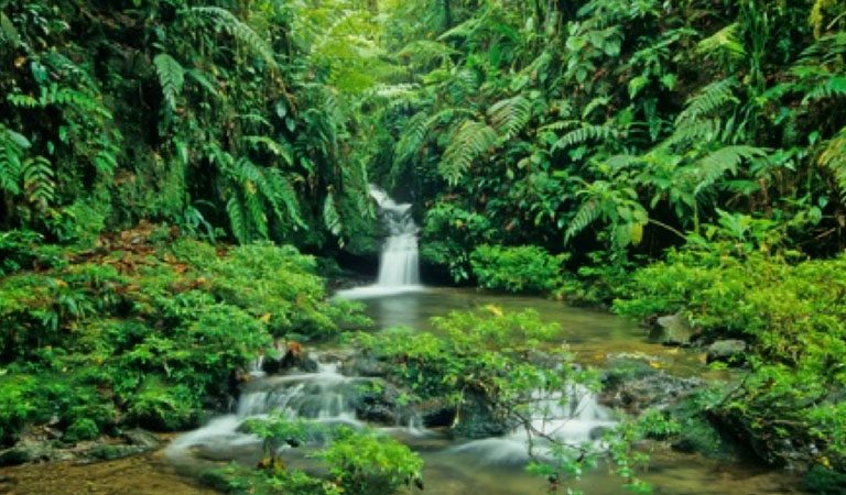 Kostarika den 2 Národní park Tortuguero