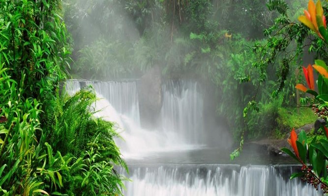 Kostarika - Tabacon Hot Springs 2
