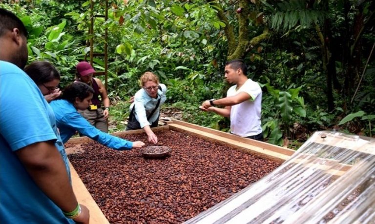 Kostarika - čokoládová plantáž